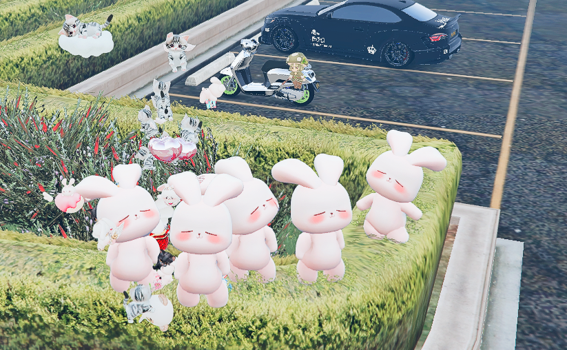 LUV International Edge